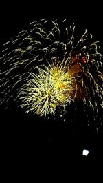 Low angle view of firework display against sky at night