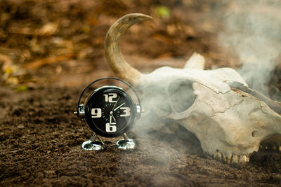 Close-up of clock on the wall