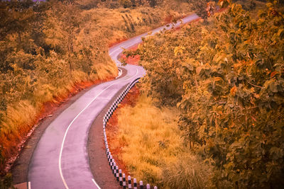 High angle view of road amidst autumn trees