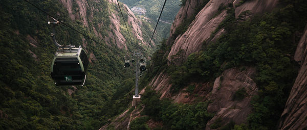 Overhead cable car on road amidst trees