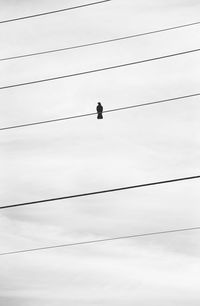 Low angle view of birds perching on cable against sky