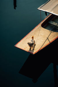 High angle view of man on boat in lake