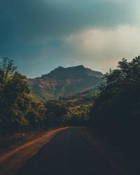 Road amidst trees against sky