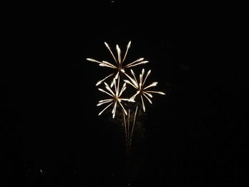 Low angle view of firework display against sky at night