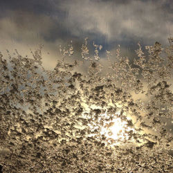 View of water against sky