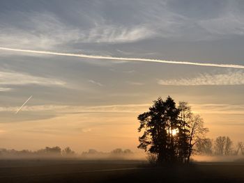 Silhouette trees on field against sky during sunrise 