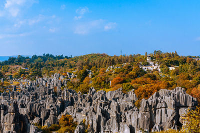 Panoramic view of trees on landscape against sky