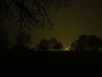 Silhouette of bare trees against sky at dusk