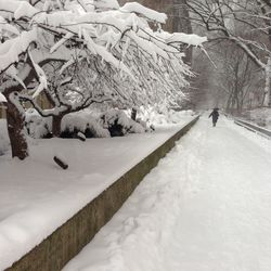 People walking on snow covered landscape
