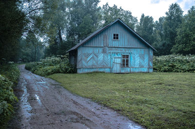 Road amidst trees and houses in forest