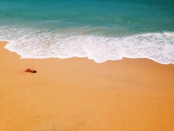 High angle view of surf on beach