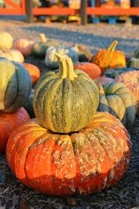 Close-up of pumpkins for sale at market stall