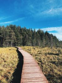 Boardwalk amidst plants and trees against sky