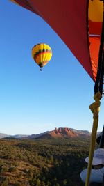 Hot air balloons flying in sky