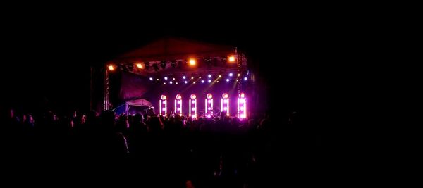 Crowd at illuminated music concert at night