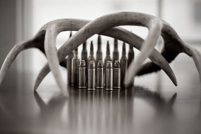 Close-up of bullets and antlers on table