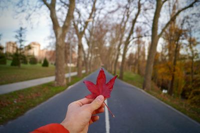 Cropped image of hand holding maple leaf against road