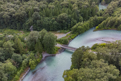 High angle view of river amidst trees in forest