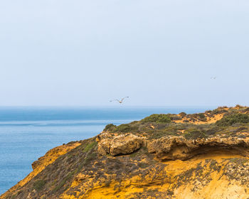 Seagull flying over sea against sky