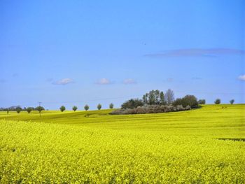 Scenic view of field against cloudy sky