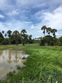 Scenic view of field against sky