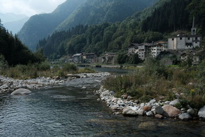 Scenic view of river amidst trees and buildings