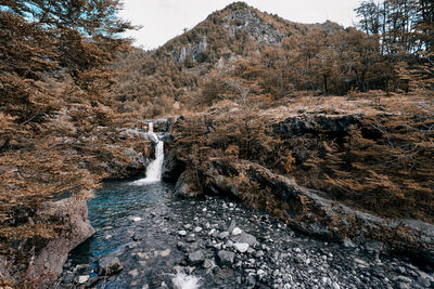 Little river flowing through rocks