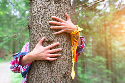 Close-up of woman hand holding tree trunk in forest