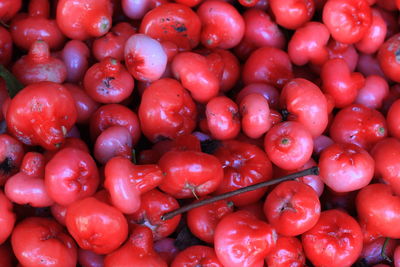 Full frame shot of red berry fruits