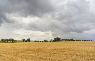 Scenic view of agricultural field against cloudy sky