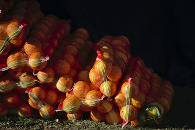 Close-up of shells