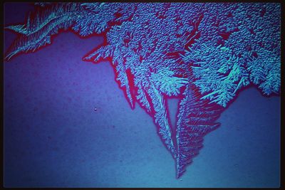 Close-up of snow on blue wall