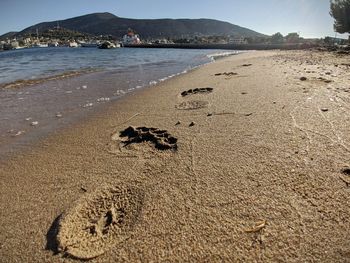 High angle view of a beach