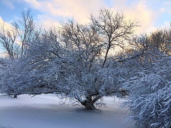 Snow covered landscape against cloudy sky