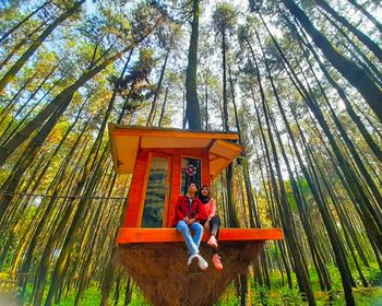 Low angle view of people sitting on bamboo amidst trees in forest