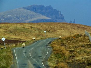 Road passing through field