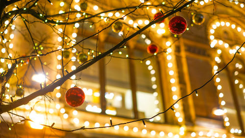 Low angle view of illuminated christmas tree