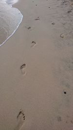 High angle view of footprints on sand at beach