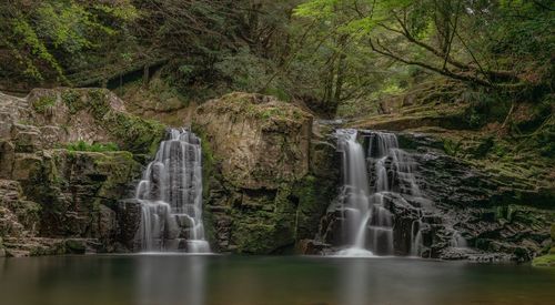 Scenic view of waterfall in forest