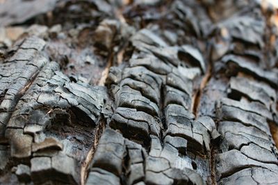 Close up of wood