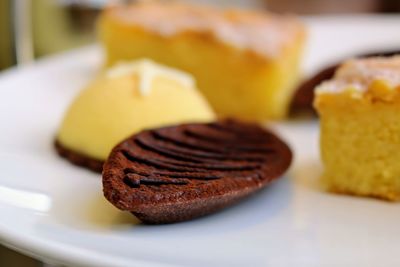 Close-up of dessert in plate