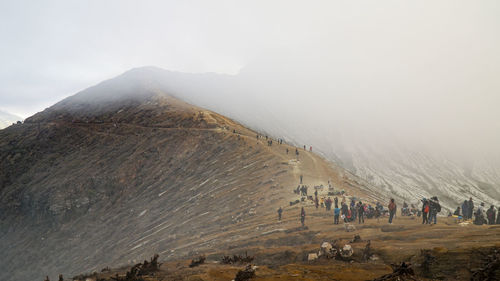 Crowd of people on hill against fog