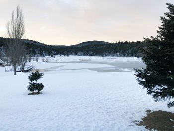 snow