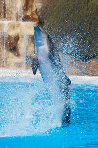 Man swimming in pool