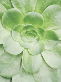 Close-up of water drop on leaf