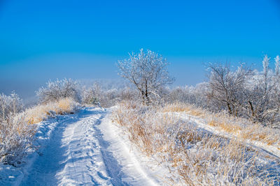 Snow covered land and trees against blue sky