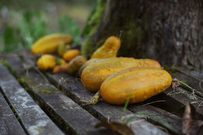 Close-up of fresh yellow fruits on tree