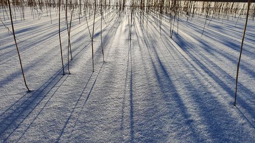 High angle view of snow covered land