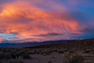 Scenic view of field against sky during sunset