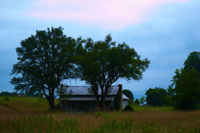 Scenic view of grassy field against sky